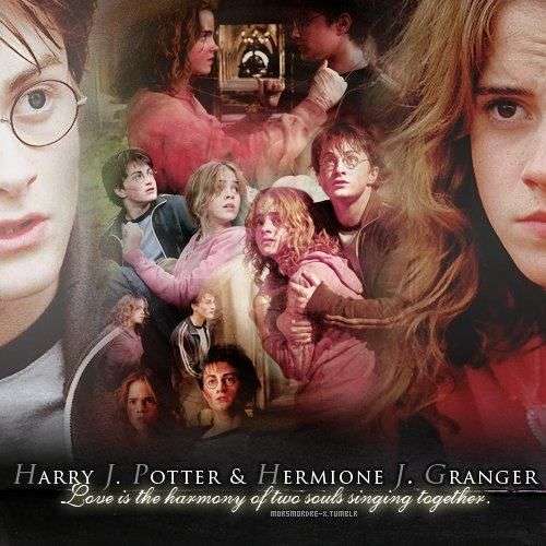 17 Best images about Harry Potter/Harmony on Pinterest ...
