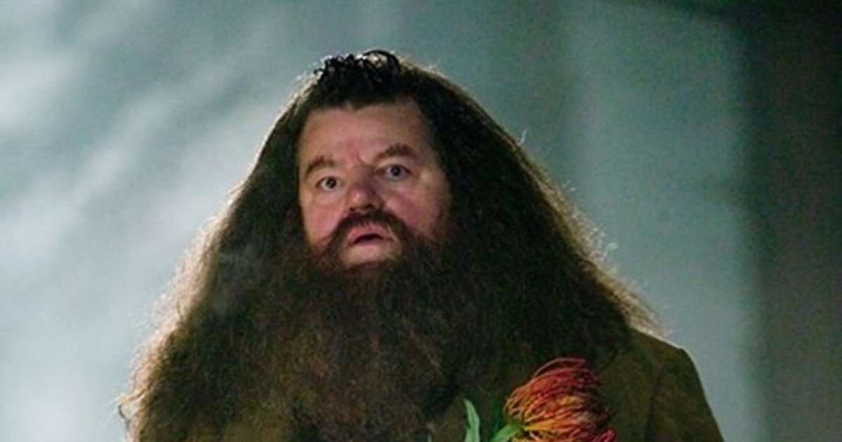 9 Reasons Hagrid Is The Best Harry Potter Character