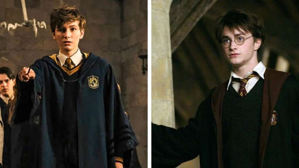 Are Newt Scamander &  Harry Potter Related? 