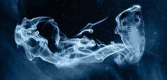 Can Voldemort conjure a Patronus? If so, what would it be ...