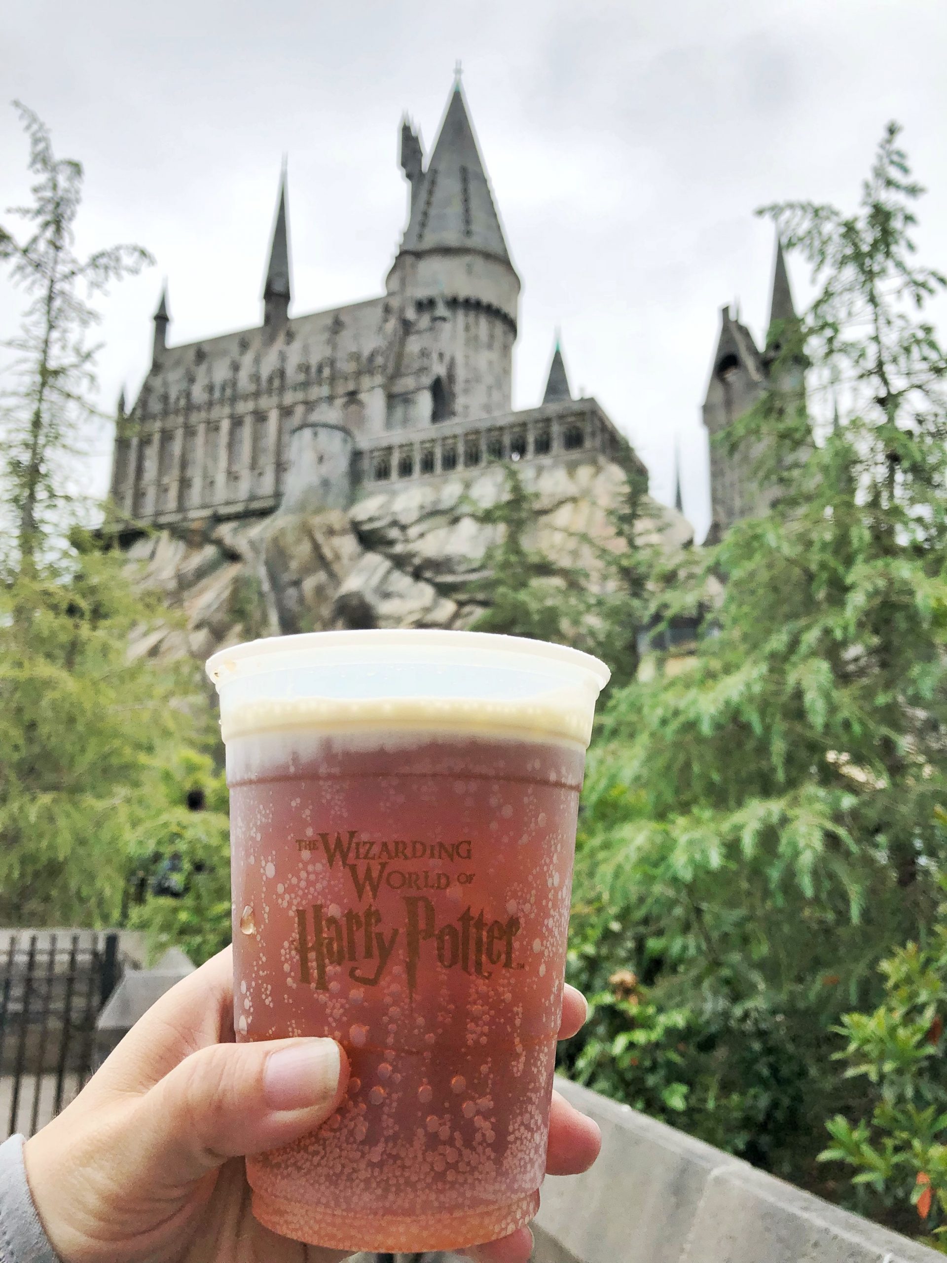 Cheers! Butterbeer at Universal Studios/Wizarding World of Harry Potter ...