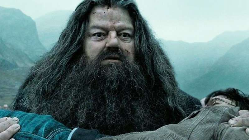 Does Hagrid Die In Harry Potter And The Deathly Hallows ...