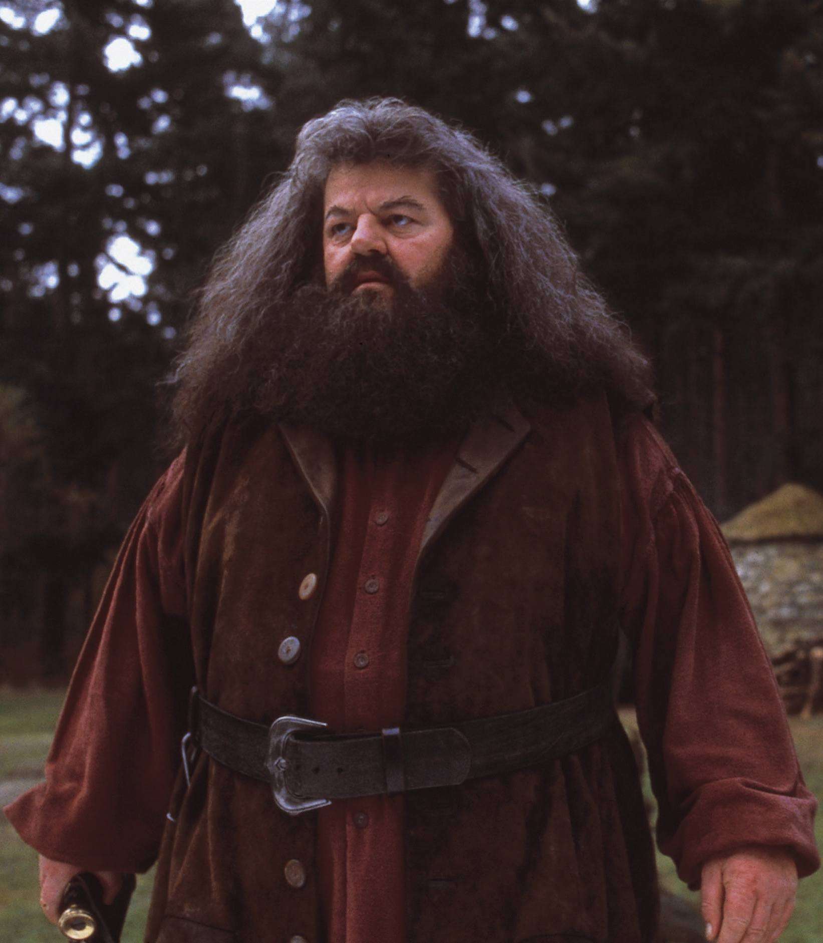 Hagrid Actor Robbie Coltrane Confined To A Wheelchair ...