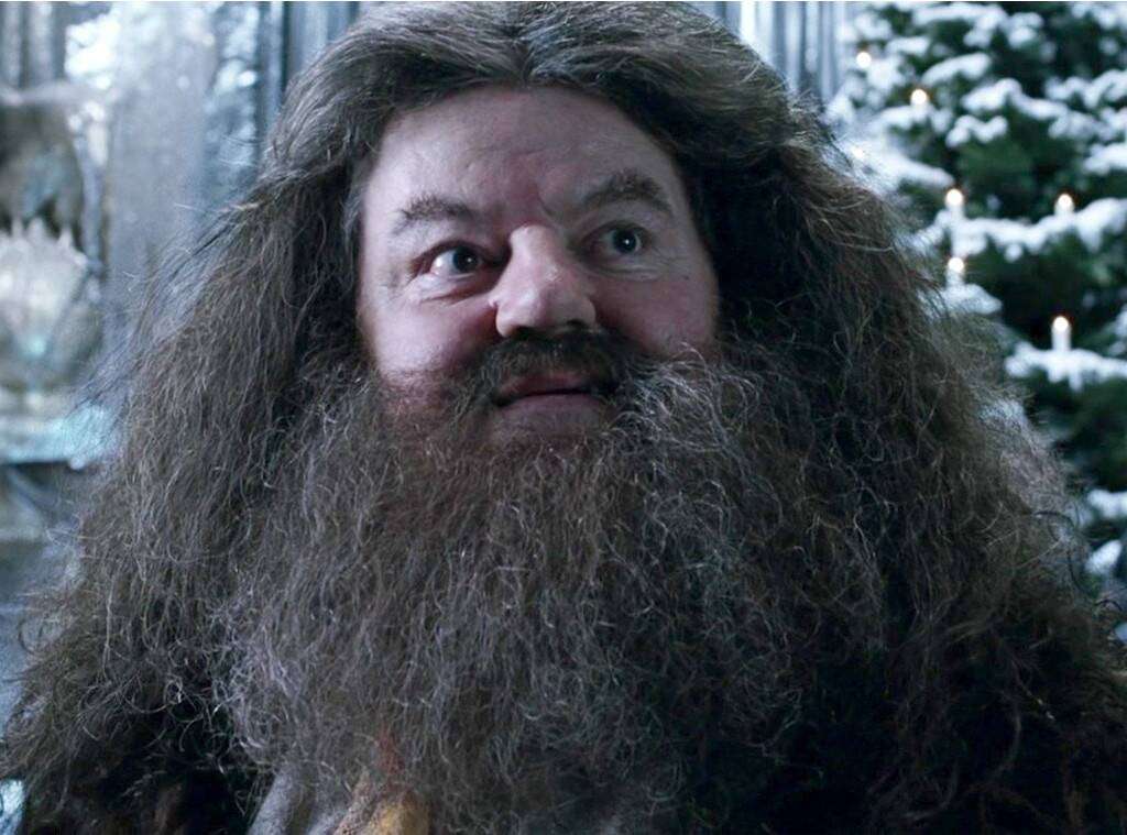 Hagrid Hospitalized! Harry Potter Actor Robbie Coltrane ...