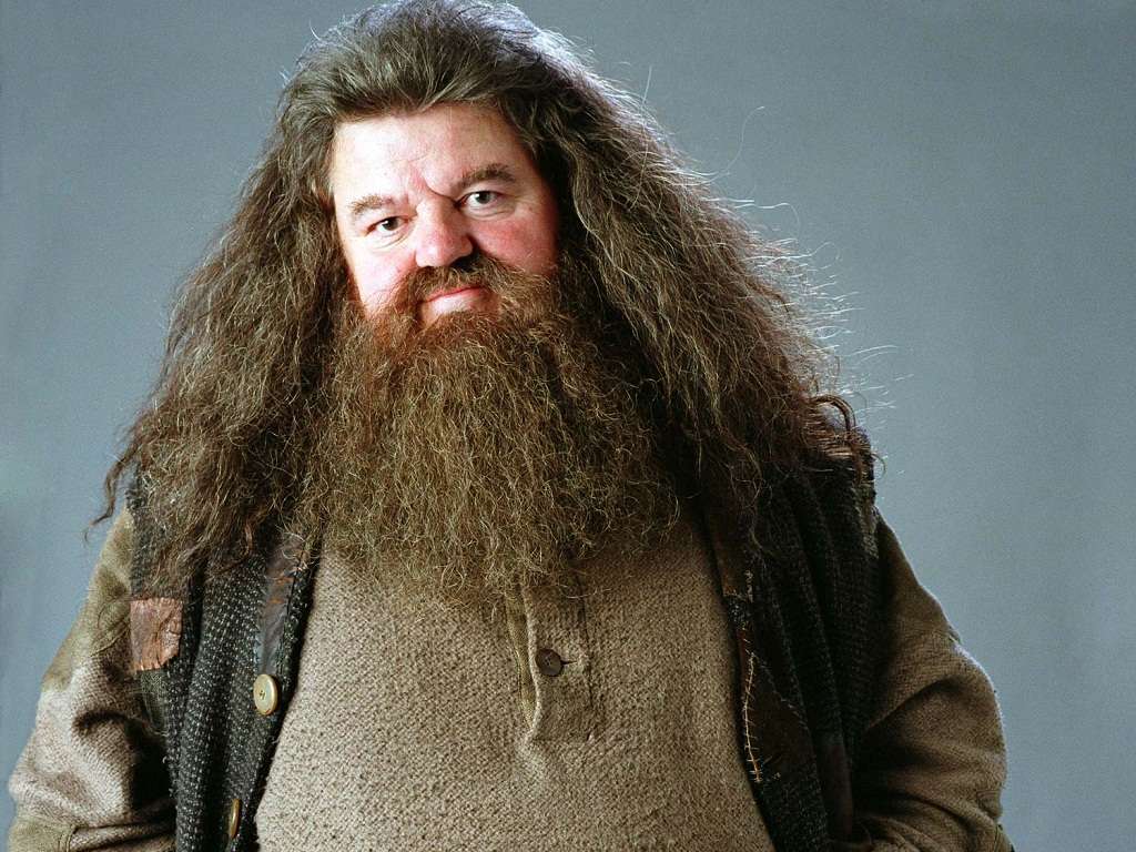 Happy Birthday, Hagrid!