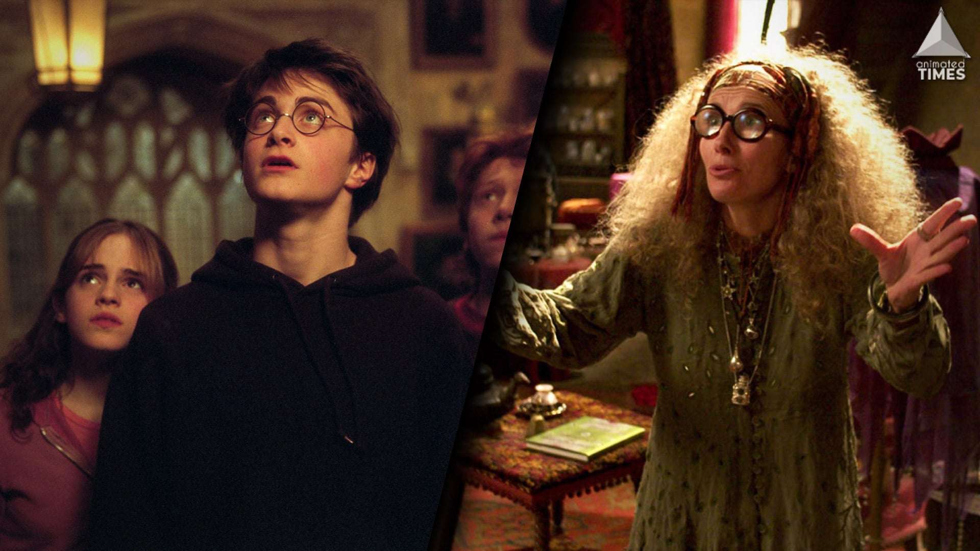 Harry Potter: 15 Most Interesting Facts From The Books ...