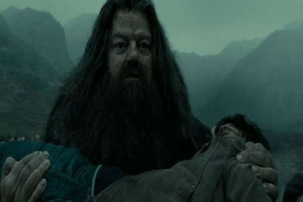 Harry Potter: 16 Most Devastating Deaths Ranked From Worst ...