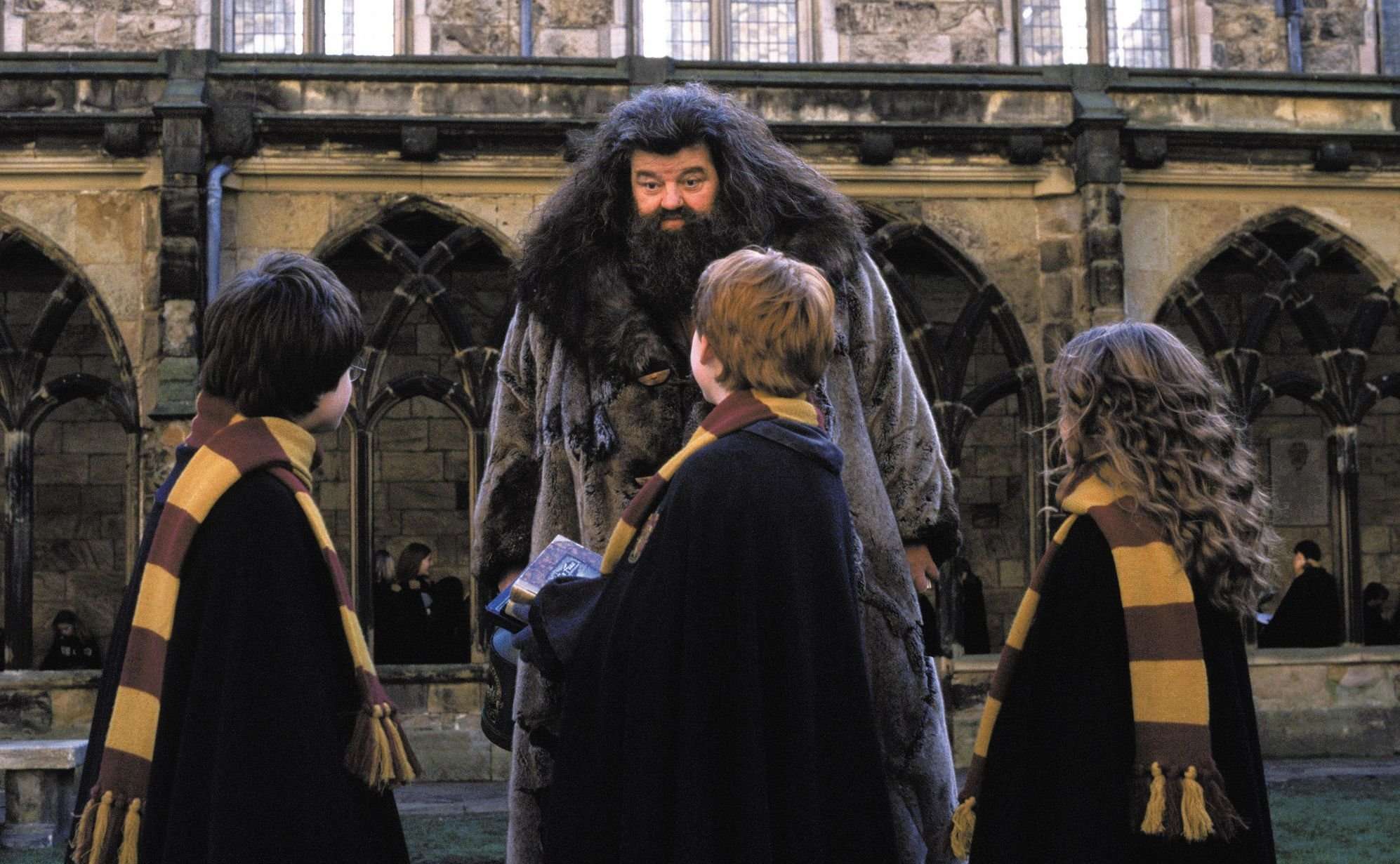 Harry Potter: 20 Things Everyone Gets Wrong About Hagrid ...