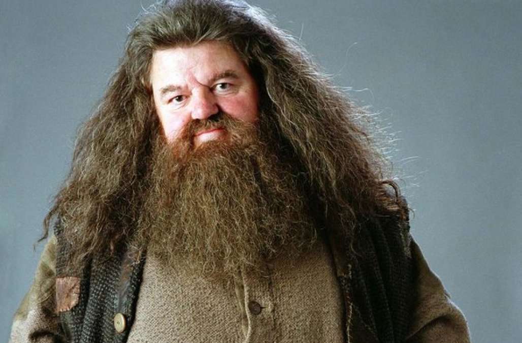 Harry Potter: 7 Things You Never Knew About Hagrid ...