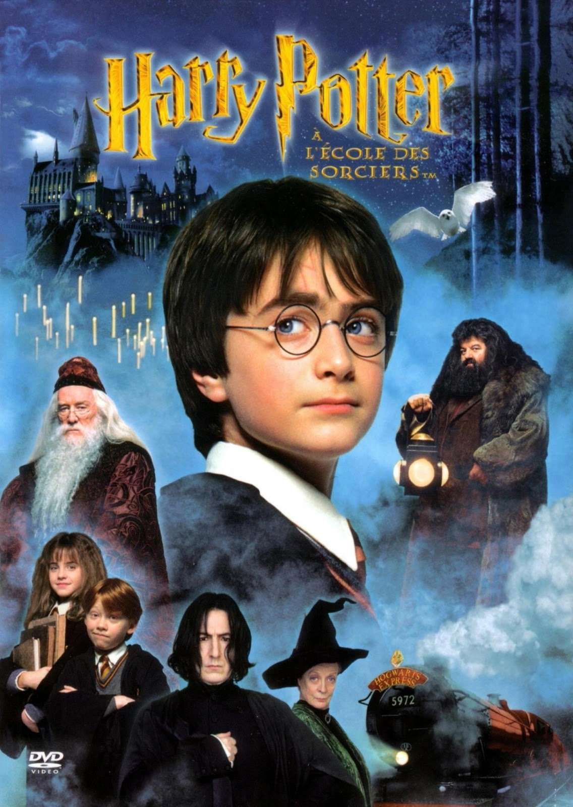 Harry Potter and the sorcerer