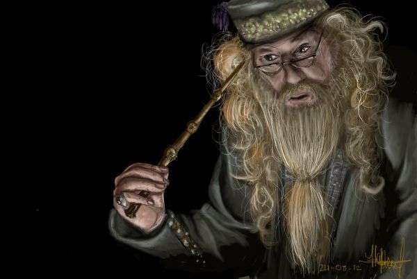 Harry Potter Dumbledore Tot