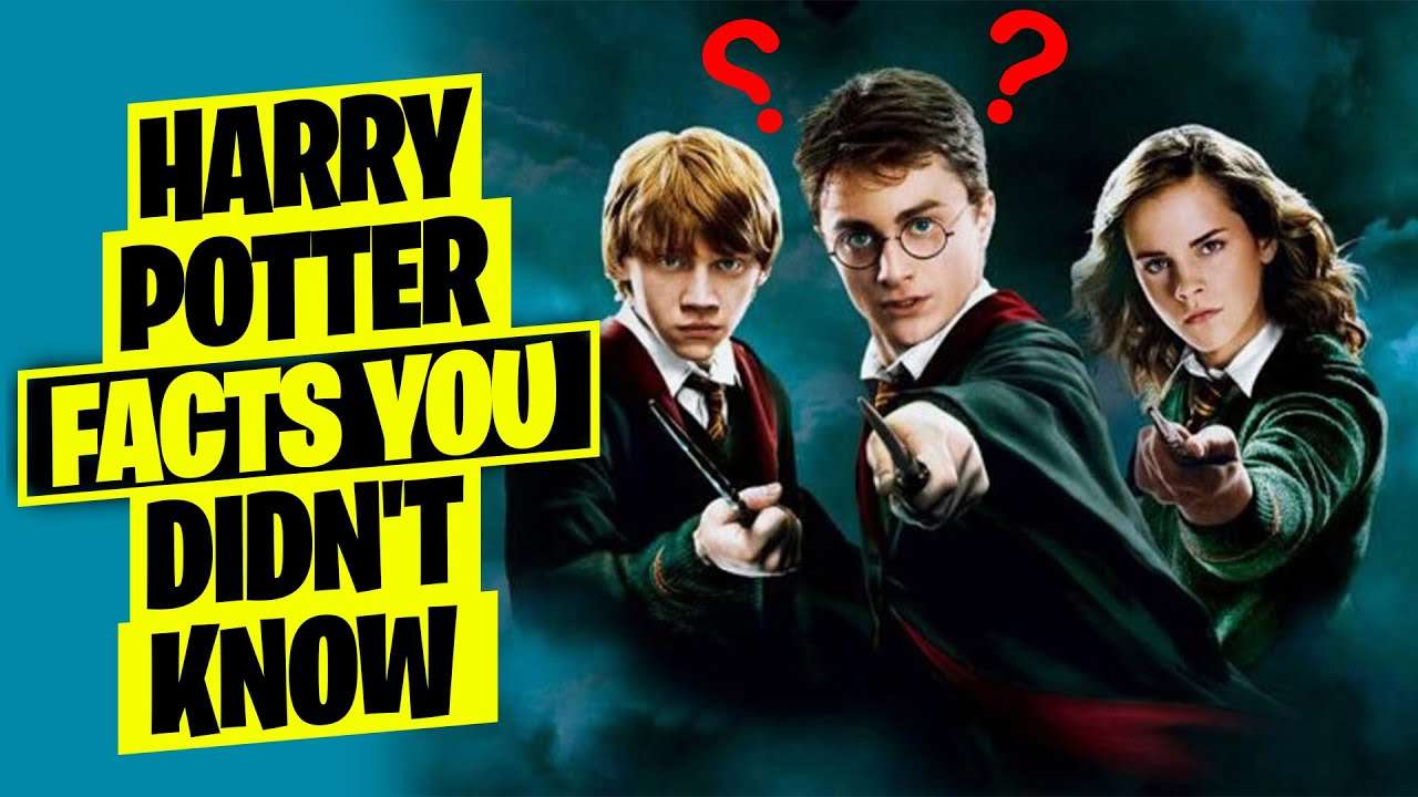 HARRY POTTER FACTS YOU DIDN