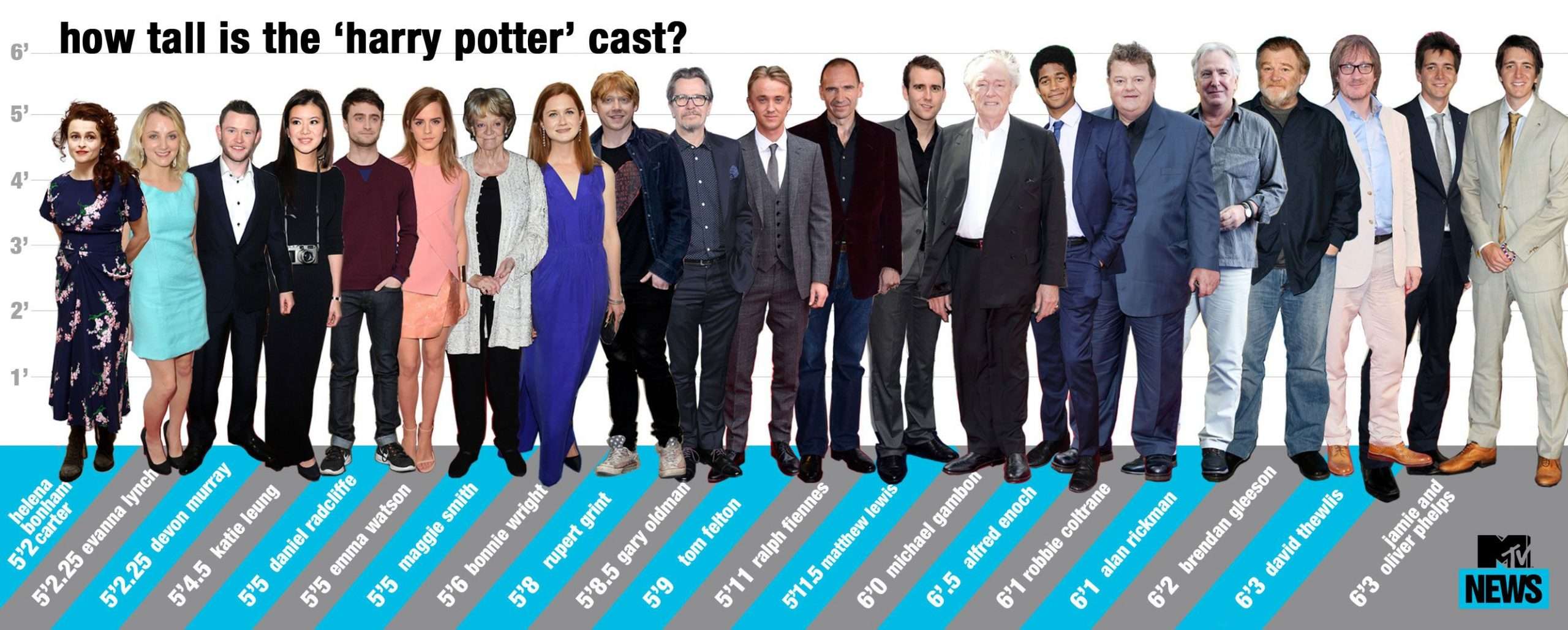 harry potter height chart whos the tallest actor scaled