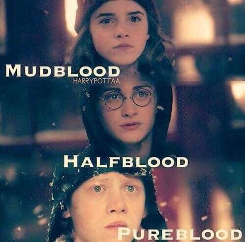 harry potter, mudblood, and hermione granger image