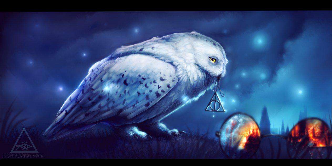 Harry Potter Quotes on Twitter: "HEDWIG DIDN