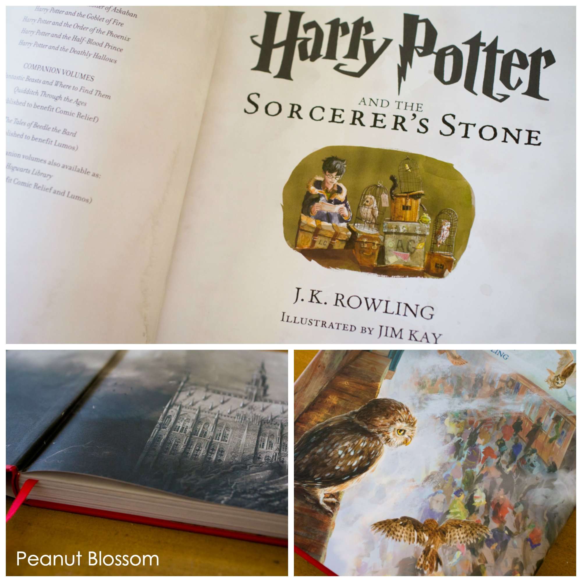 Harry potter recommended reading age inti