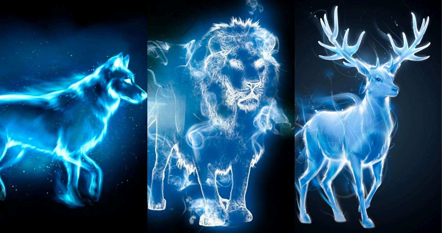 Harry Potter: What Your Patronus Would Be, Based On Your ...