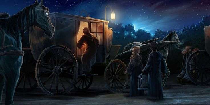 Harry sees a Thestral pulling the school carriages for the ...