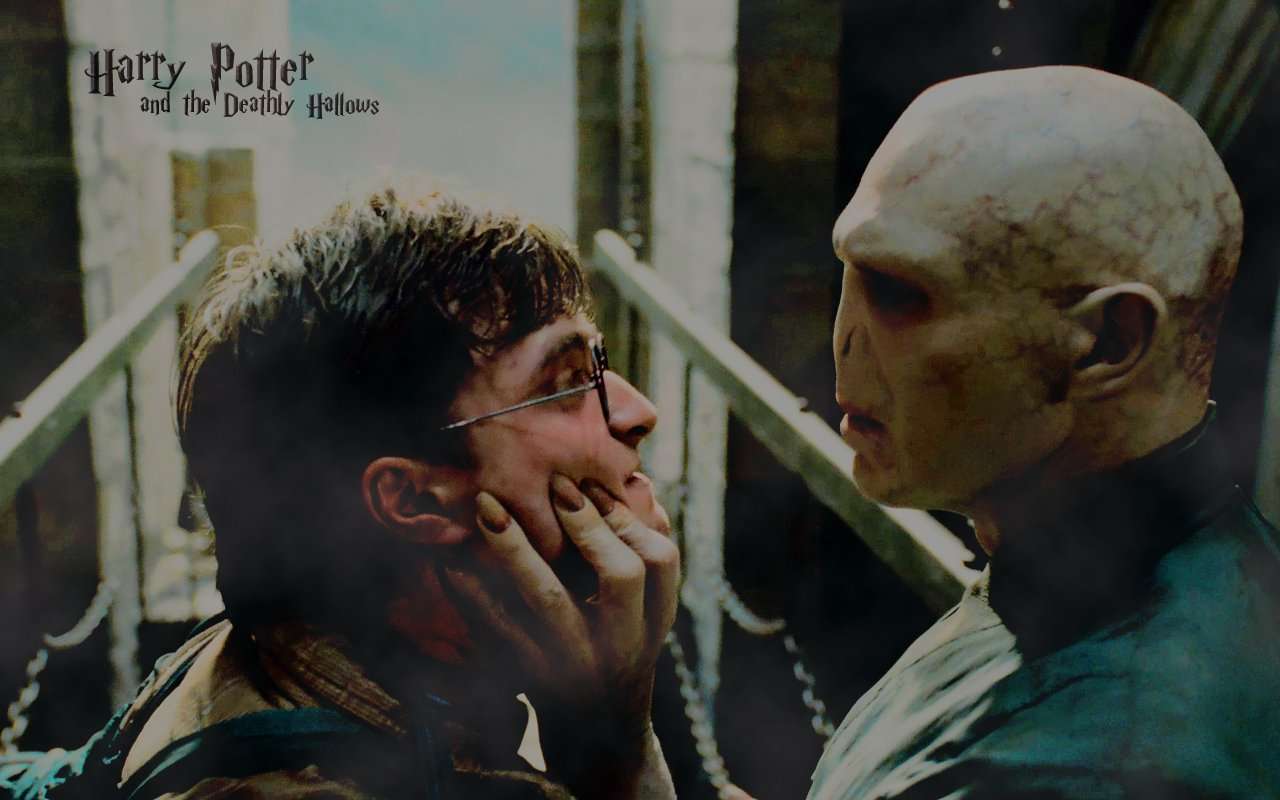 Harry & Voldemort in Deathly Hallows