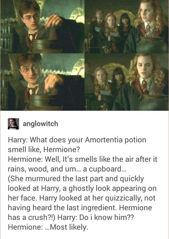 Hermione amortentia potion smell is harry