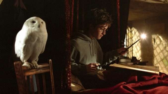 QUIZ: How Much Do You Actually Know About Owls In Harry Potter