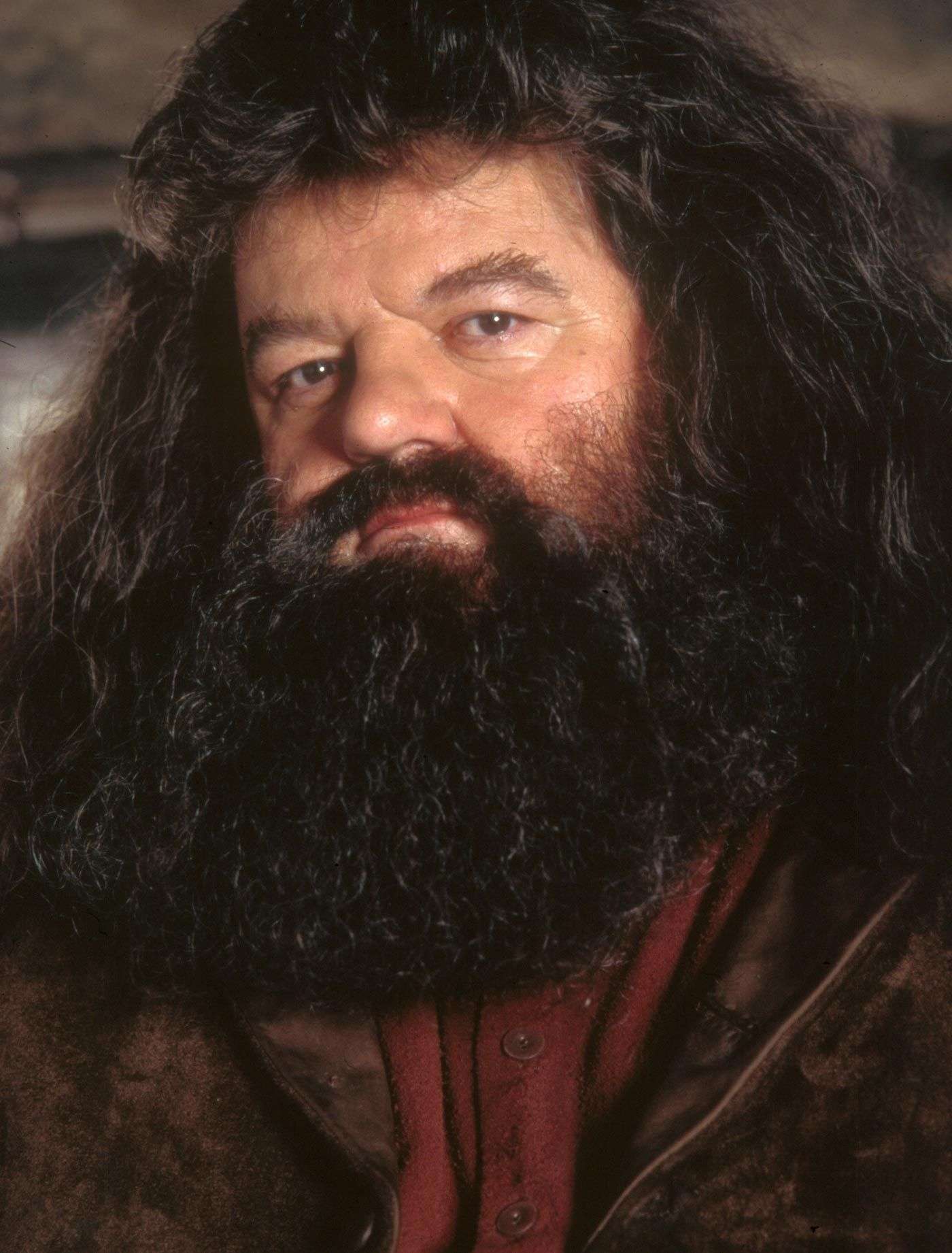 Robbie Coltrane as " Hagrid"  from " Harry Potter"  movies ...