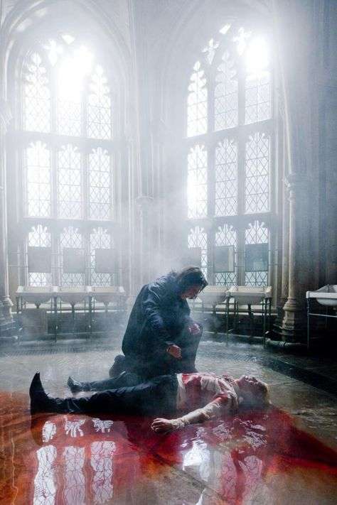 Set photo of Snape healing Draco in Harry Potter and the ...