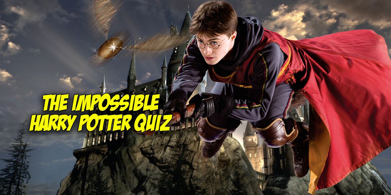 Take This Ultimate Harry Potter Quiz And We