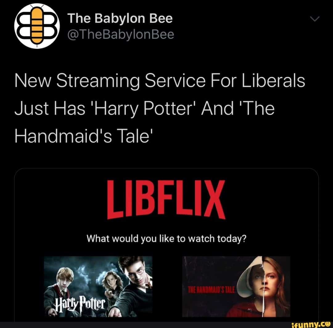 The Babylon Bee @TheBabylonBee New Streaming Service For Liberals Just ...