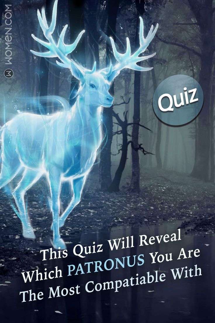 This Quiz Will Reveal Which Patronus You Are The Most Compatiable With ...