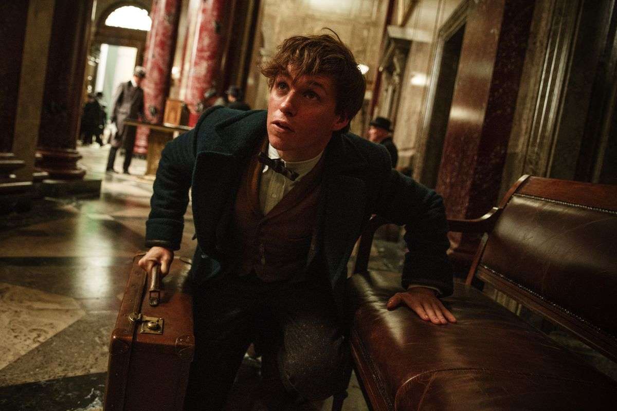 To tie up the loose strings of Fantastic Beasts, you have ...