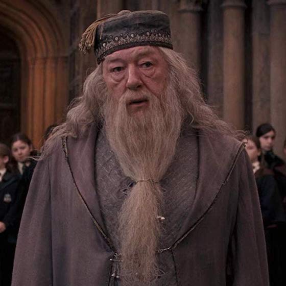 True or false? Albus Dumbledore