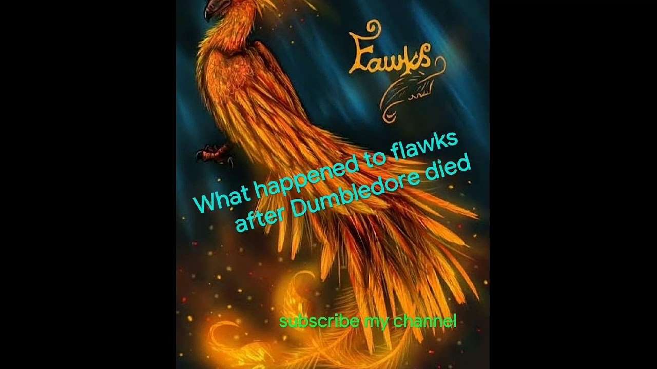 What happened to fawkes after death of Dumbledore