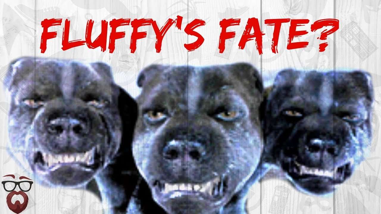 What Happened to Fluffy? (Harry Potter Theory)