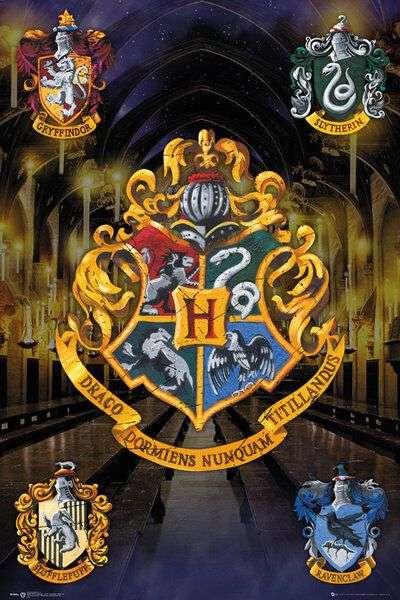 What Hogwarts House Do You Belong in?